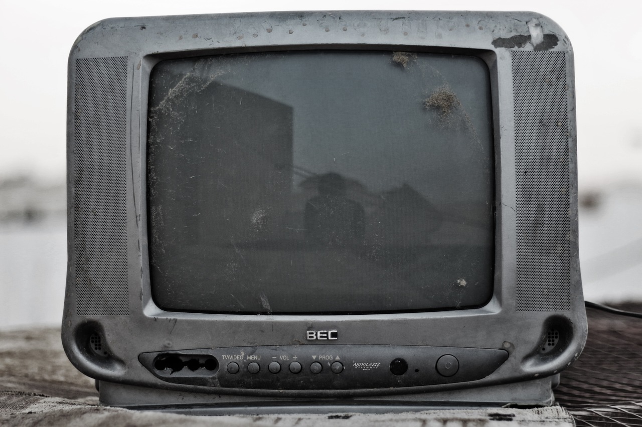 Repurpose an Old Television as a Plant Stand